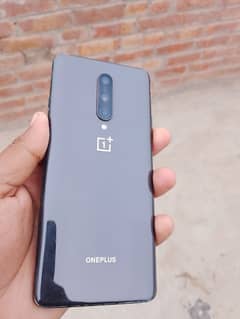 oneplus 8