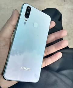 Vivo