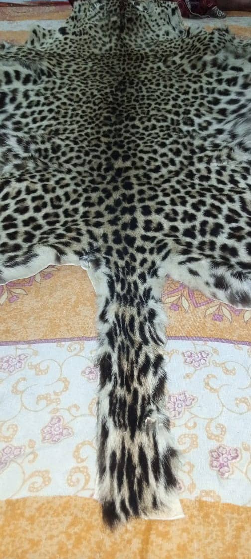 Premium Full Cheetah Leather Skin for Sale – Limited Stock! 9