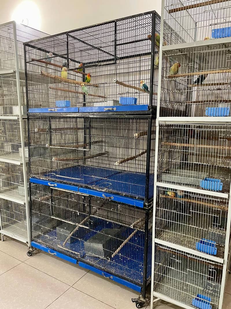 Cage/ Bird cage/ cage for sale / pinjra /iron cage /lovebird cage 0