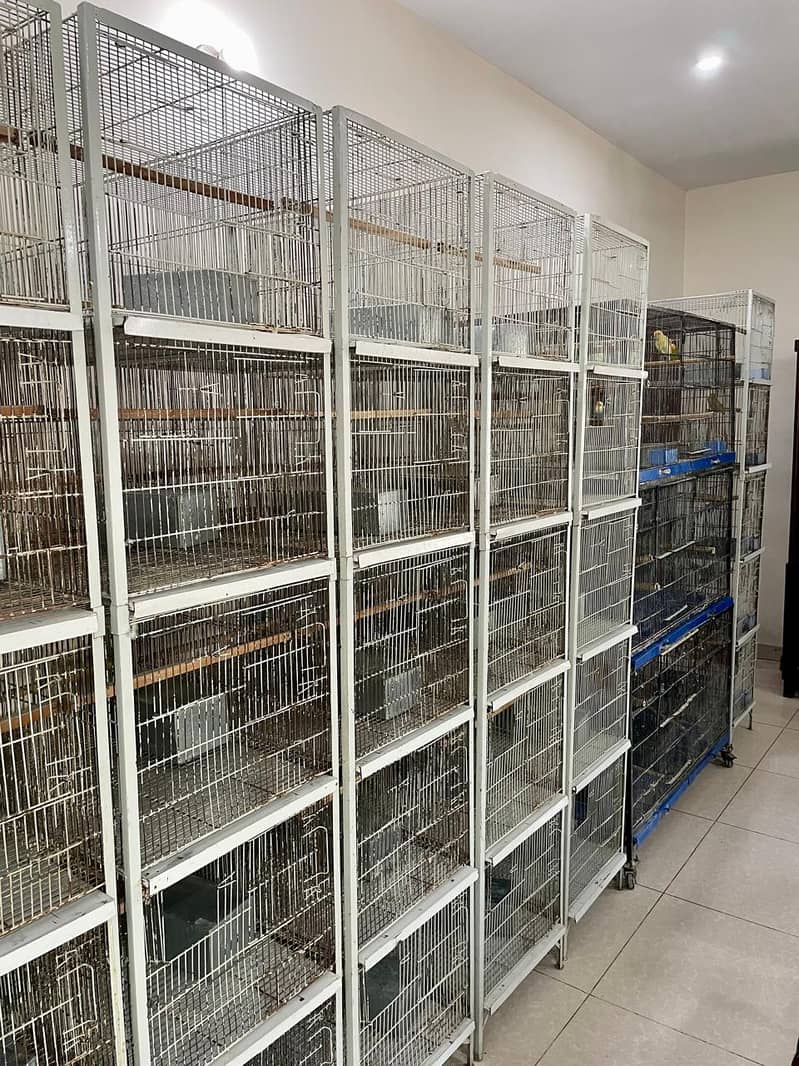 Cage/ Bird cage/ cage for sale / pinjra /iron cage /lovebird cage 1