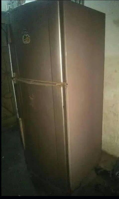 Dowlance fridge 2