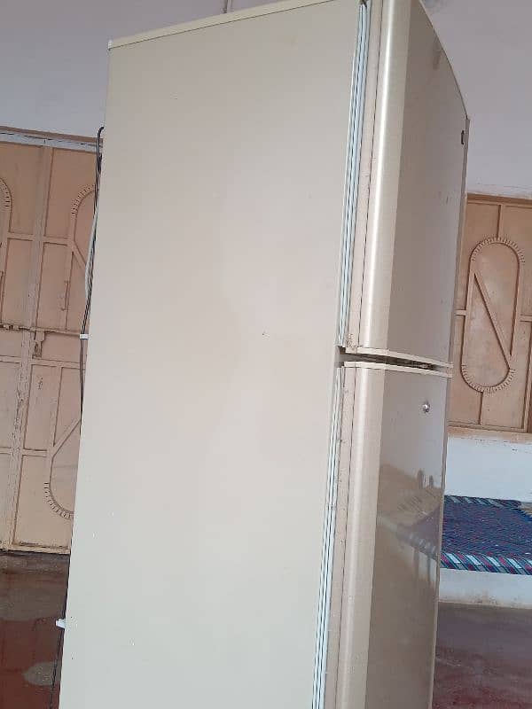 PEL Refrigerator for sale / Fridge for Sale 1