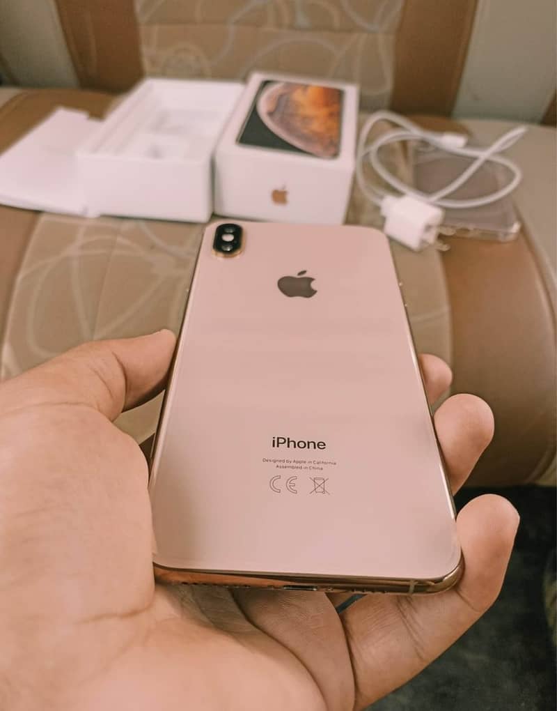 Apple iPhone XS 0