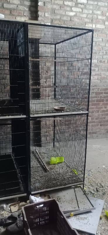 Birds cage / iron cages / cages available for sale 0