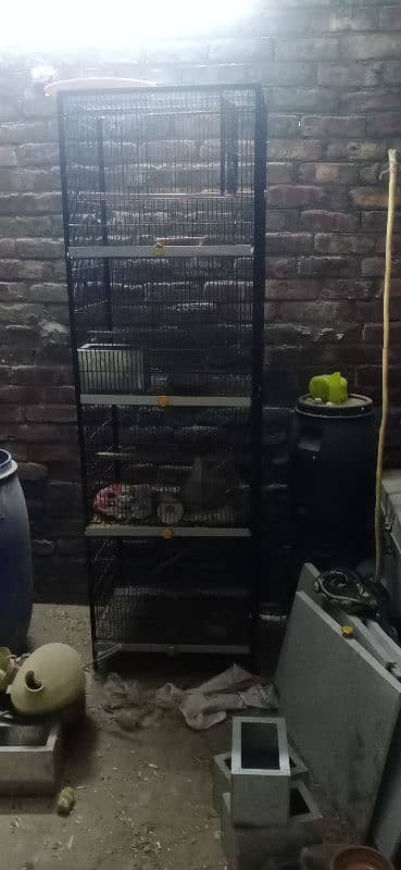 Birds cage / iron cages / cages available for sale 1