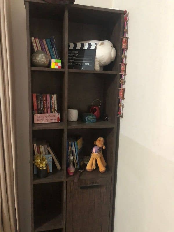 book shelf 1