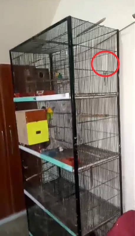 Lovebird 8 portion cage 0