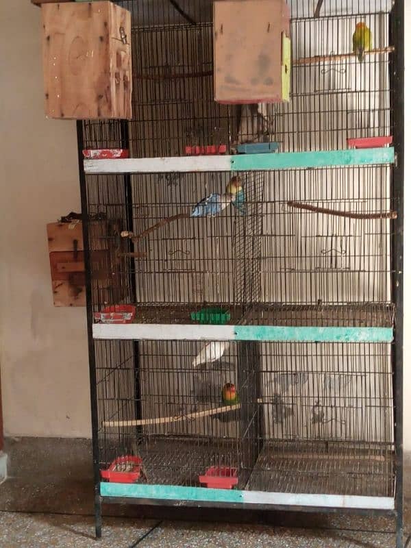 Lovebird 8 portion cage 1