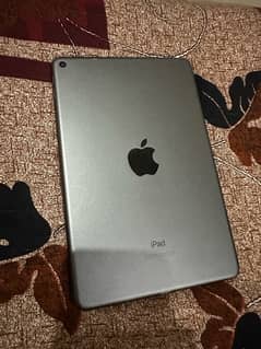 iPad mini 5 pubg king