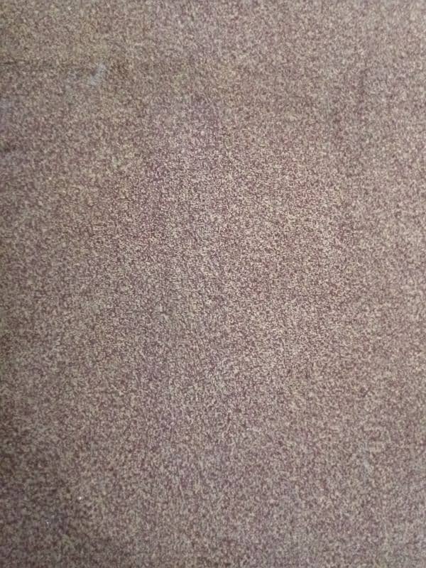 new carpet 0