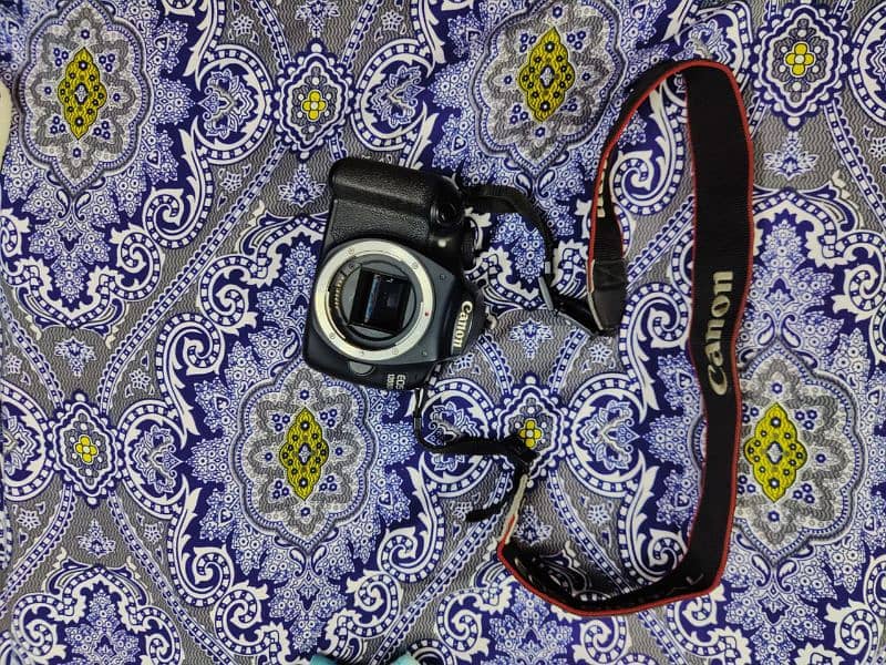 Canon D1200 1