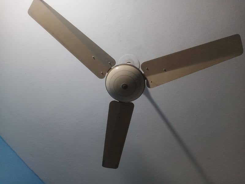 ceiling fan 1