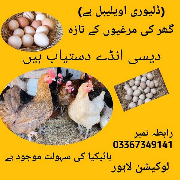 Ghar ki murgio ka Desi Organic fresh  Eggs available 2