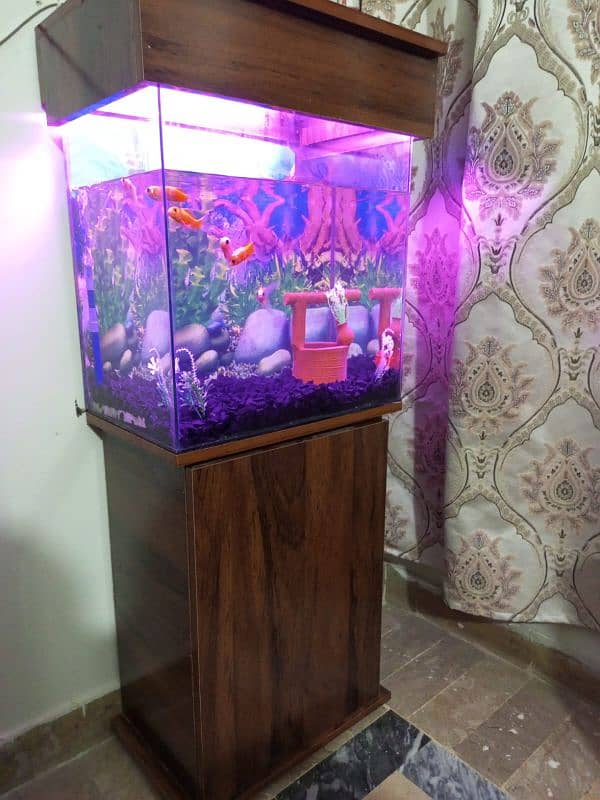 aquarium for sale 0