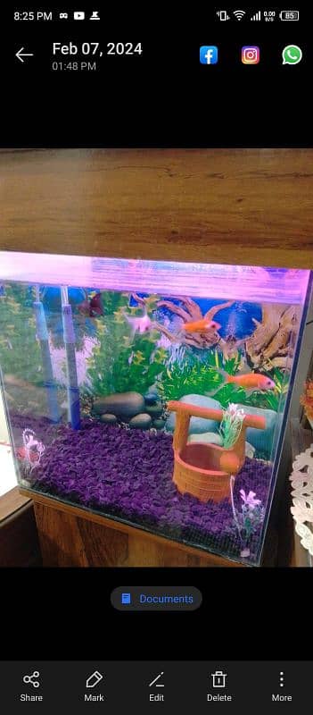 aquarium for sale 1