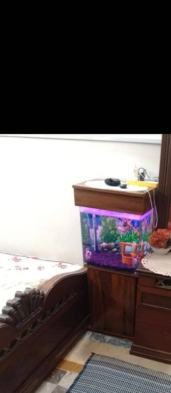 aquarium for sale 2