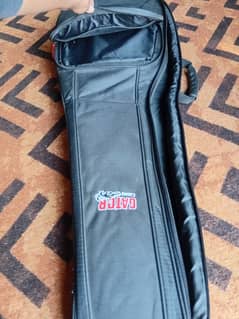 Alligator guitar case bag