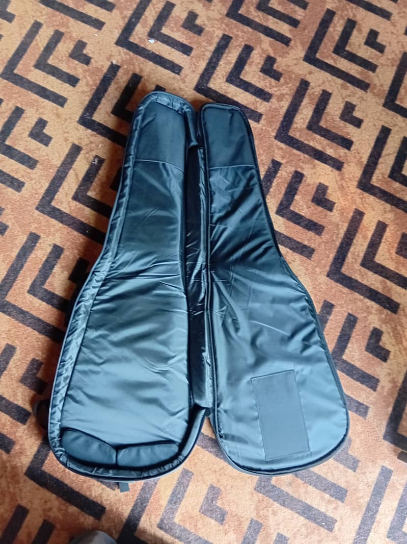 Alligator guitar case bag 1