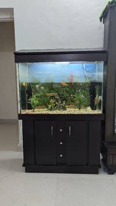 Full size Aquarium