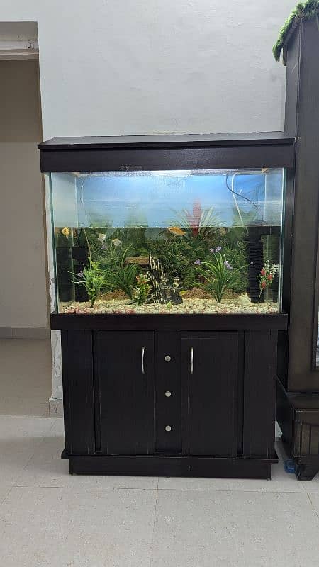 Full size Aquarium 0