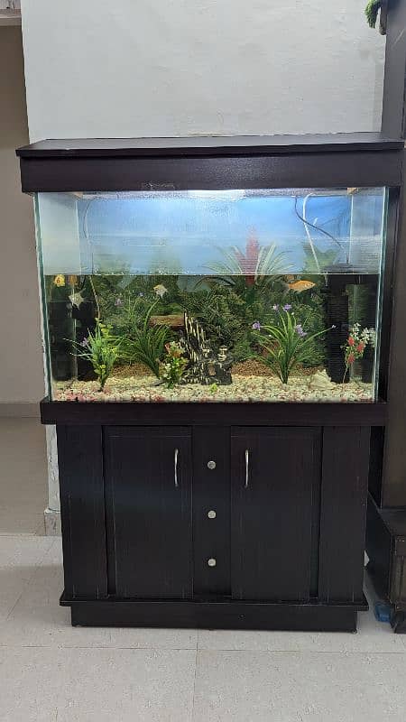 Full size Aquarium 1