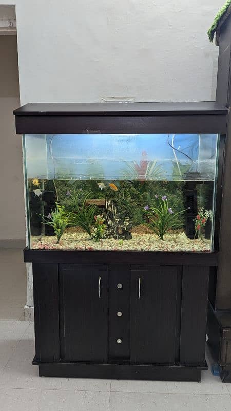 Full size Aquarium 2