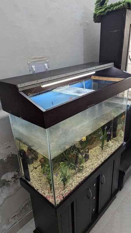 Full size Aquarium 3