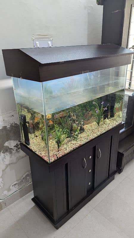 Full size Aquarium 4