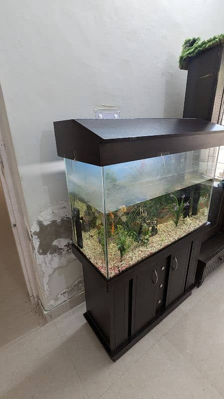 Full size Aquarium 5