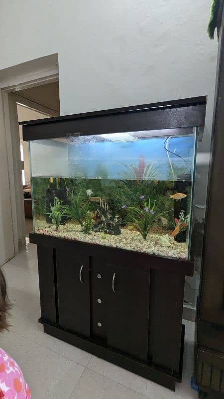 Full size Aquarium 6