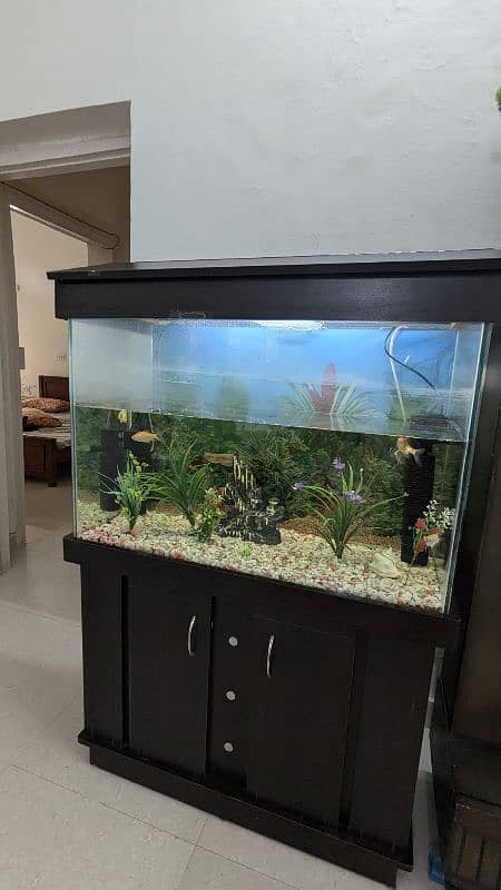 Full size Aquarium 7