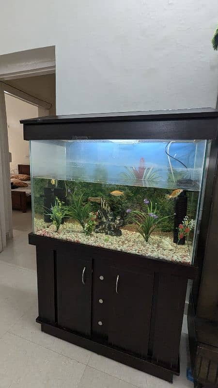 Full size Aquarium 8