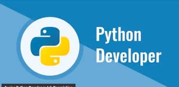 Python Developer (Mid-Level) - Junior Level