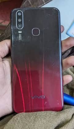 Vivo