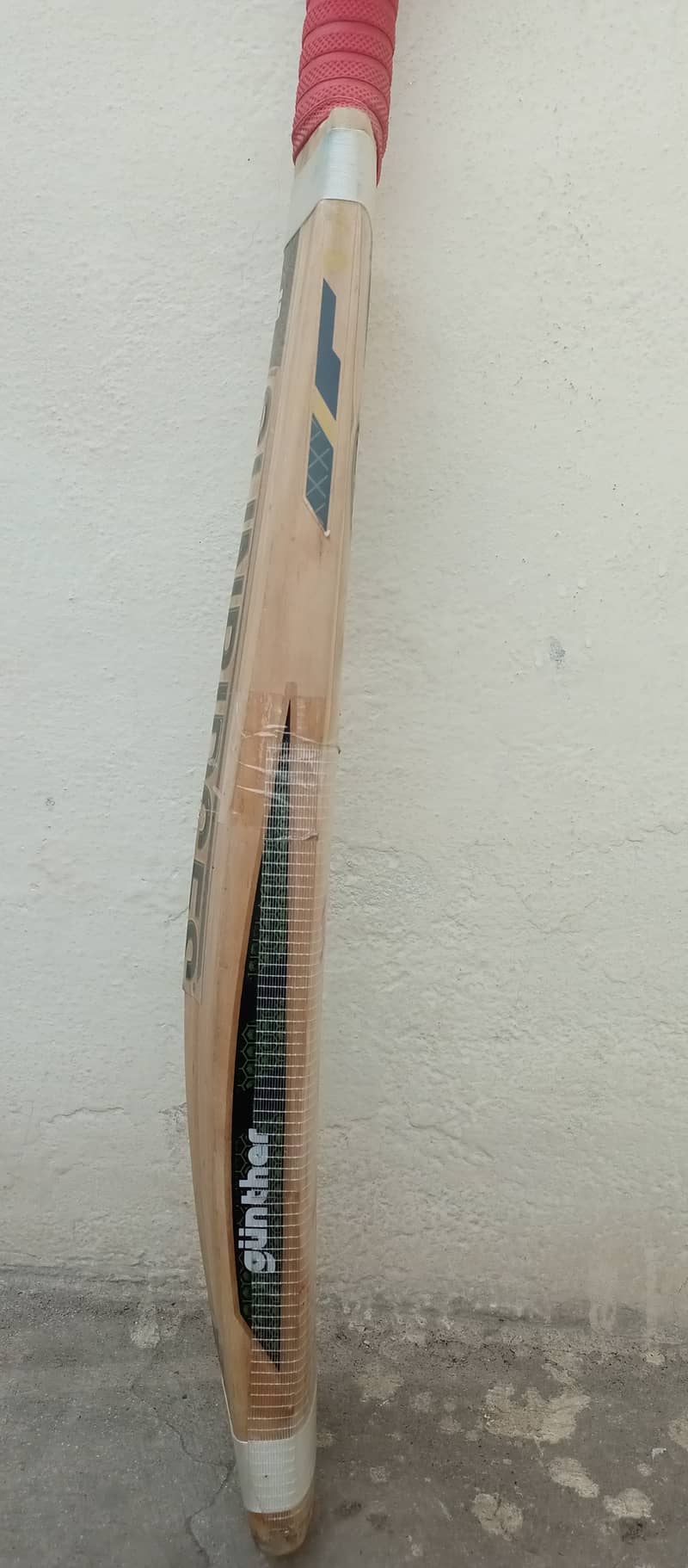 SS cricket bat 2