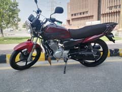 Yamaha YB 125Z DX 03430555900