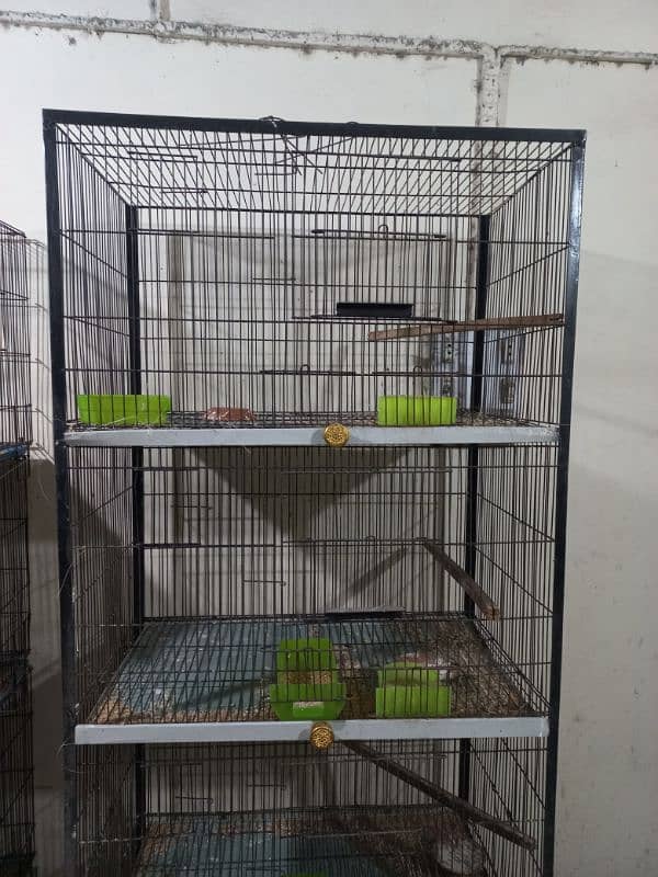 All size of cages description phar lein 5