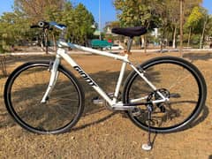 Giant Escape Hybrid Bicycle USA Imported