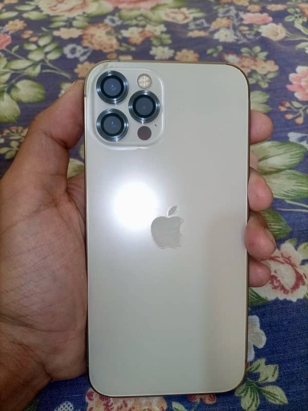 IPhone 12 Pro PTA approved 256gb 2