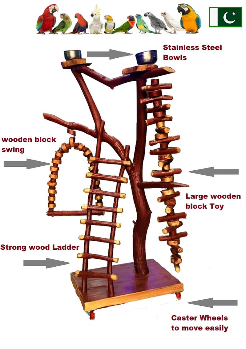 Parrot Bird toys wooden stand perches cage everything 1