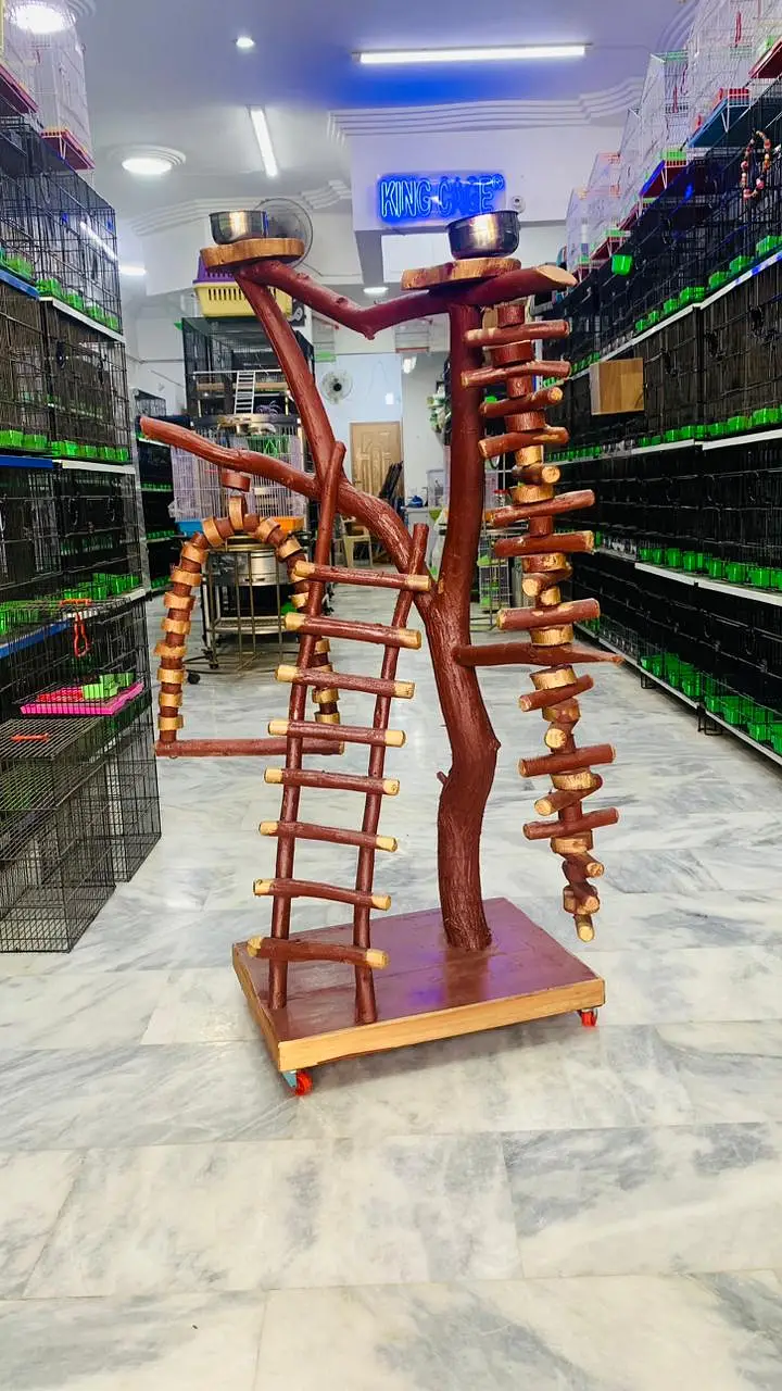 Parrot Bird toys wooden stand perches cage everything
