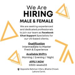 Customer Chat Support Job for Girls and Boys