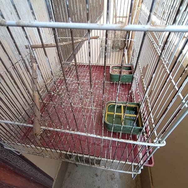 Budgies cage 24x18x14 6