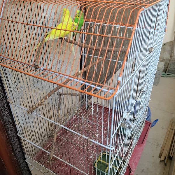 Budgies cage 24x18x14 9