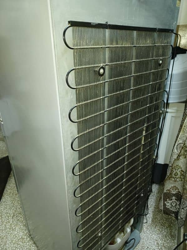 HAIER REFRIGERATOR 11