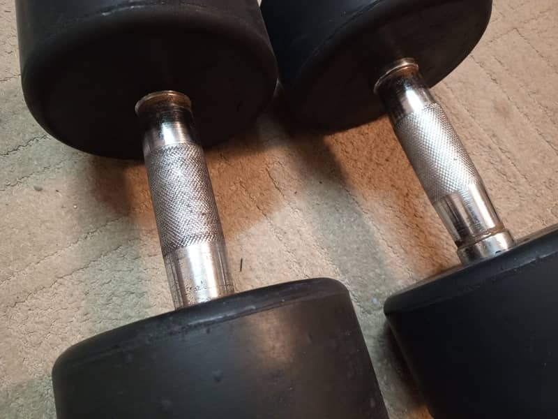 12 Kg Dumbbells 2