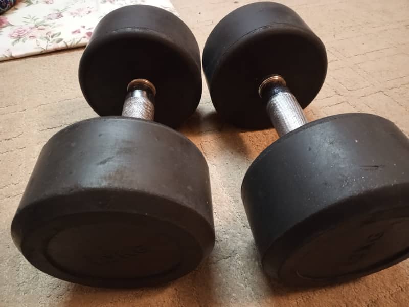 12 Kg Dumbbells 4