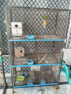 Birds Cage 3 Story and 6 Sub Option