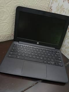 hp chrome book